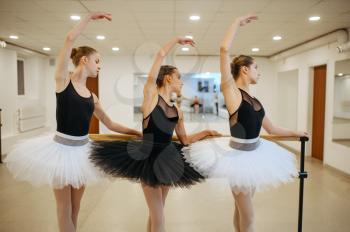 Elegant ballerinas, performing at the barre in class. Ballet school, female dancers on choreography lesson, girls practicing grace dance