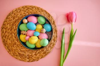 Colorful easter eggs in bowl with a tulip, pink background, top view. Paschal food, event decoration, spring holiday celebration symbol