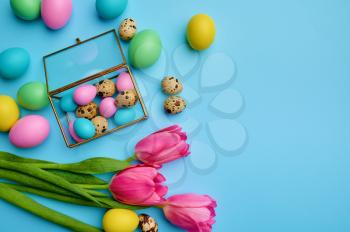 Colorful easter eggs in box and tulips on blue background, top view. Paschal food, event decoration, spring holiday celebration, traditional symbol
