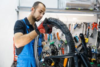 Bicycle assembly in workshop, man installs rear wheel. Mechanic in uniform fix problems with cycle, professional bike repairing service