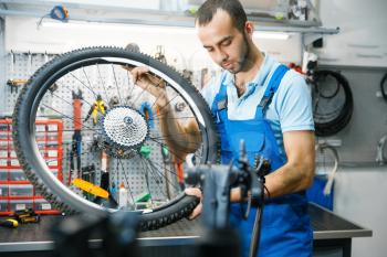 Bicycle assembly in workshop, wheel installation. Mechanic in uniform fix problems with cycle, professional bike repairing service