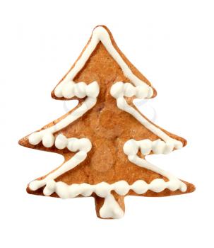 Gingerbread cookie decorated with sugar icing - studio