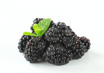 Studio shot of fresh blackberries