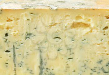 Detail of blue cheese - full frame