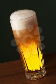 Freshly Poured Beer in a Tall Glass
