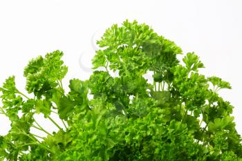 Clumps of fresh parsley on white background