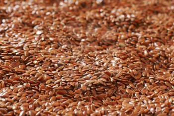 Flaxseeds (also called linseeds) - rich source of healthy fat, antioxidants, and fiber