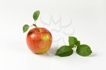 red apple with leaves on white background