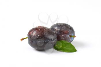 two washed plums on white background