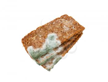 Slices of brown bread covered with mold