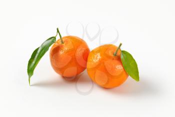 two tangerines with leaves on white background