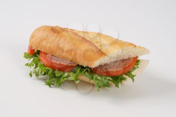 crusty baguette sandwich with salami on white background