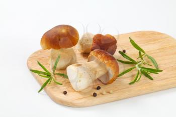 fresh porcini mushrooms, rosemary and peppercorns on wooden cutting board