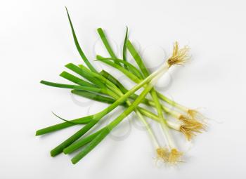 Fresh green onions on white background