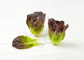 heads of fresh lettuce on white wooden background