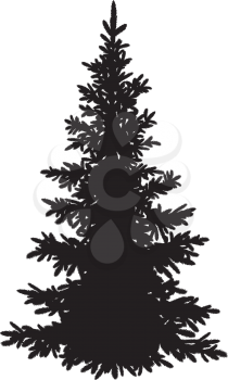 Christmas spruce fir tree black silhouette isolated on white background. Vector