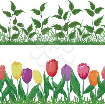Set seamless of flowers tulips, leaves and green grass, isolated on white background. Vector