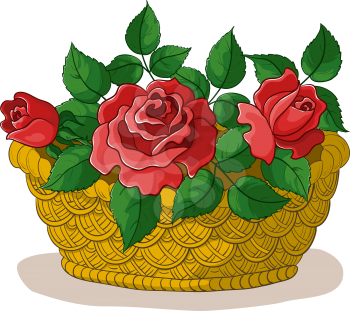 wattled basket with flowers red roses and green leaves. Vector