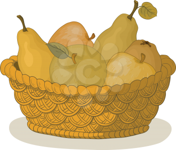 Still Life, Wattled Basket with Sweet Fruits, Apples and Pears. Vector