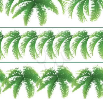 Set seamless patterns, green branches with leaves of palm trees. Vector