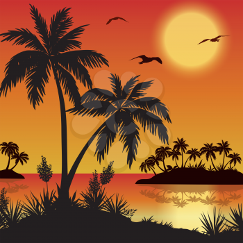 Tropical landscape, sea islands with palm trees, flowers, sun and birds gulls, black silhouettes on red - yellow background. Eps10, contains transparencies. Vector