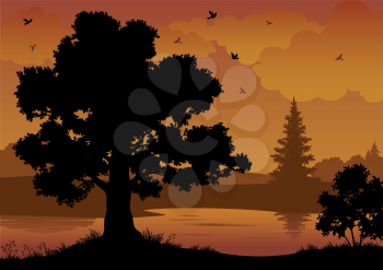 Evening contour black and orange landscape: trees, river and birds. Vector