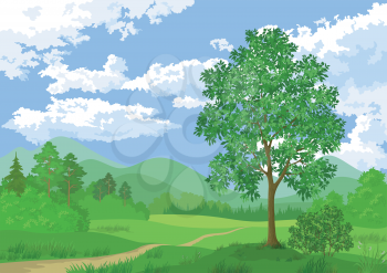 Landscape, summer green forest, maple tree and blue cloudy sky. Vector