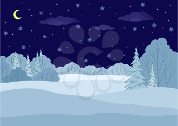 Landscape: winter forest night, coniferous and deciduous trees under stars, vector