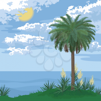 Tropical landscape, sea island with palm tree, bloomer plants Yucca and sky with clouds and sun. Vector