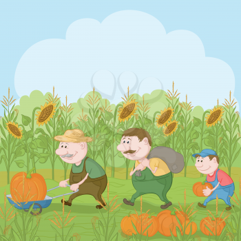 Cartoon farmers: grandfather, son and grandson harvest pumpkins. Vector