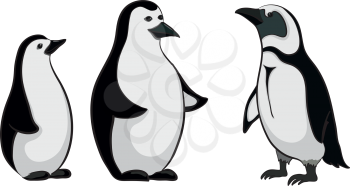 Antarctic black and white emperor penguins on white background. Vector