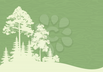 Forest Landscape, Coniferous and Deciduous Trees Silhouettes on Green Background. Vector