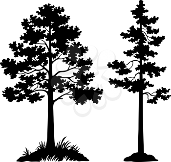 Landscape, Pine Trees Black Silhouette Isolated on White Background. Vector