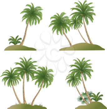 Set Exotic Landscapes, Palm Trees with Green Leaves and Nuts, Tropical Plants and Grass, Isolated On White Background. Vector