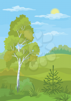 Forest landscape with birch, fir tree and blue sky. Vector
