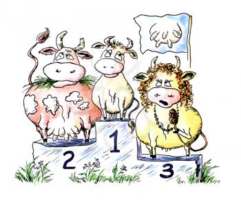 Comic water colour drawing: competition of beauty among cows