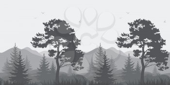 Seamless, mountain landscape with pines, conifer trees, birds and grass, gray silhouettes. Vector