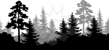 Seamless Horizontal Summer Forest with Pine, Fir Tree, Grass and Bush Black and Gray Silhouettes on White Background. Vector
