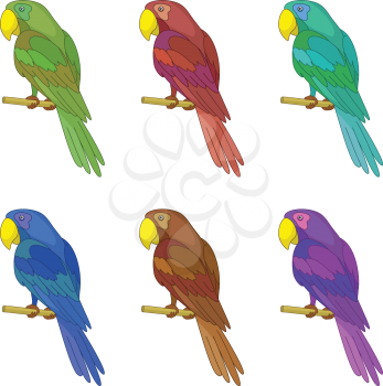 Set colorful clever speaking colored parrots sits on a wooden pole. Vector