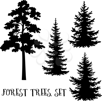 Fir and Pine Trees set, Black Silhouettes Isolated on White Background. Vector