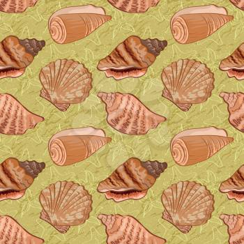 Seamless background, pattern with marine seashells and contour. Vector