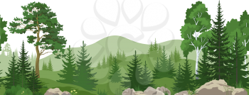 Seamless Horizontal Summer Mountain Landscape with Pine, Birch and Fir Trees, Green Grass on the Rocks. Vector