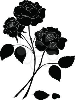 Flowers, rose bouquet, love symbol, floral gift, silhouette. Vector