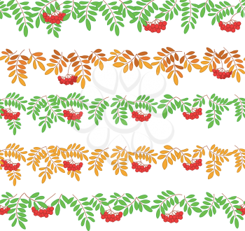 Seamless pattern for web design - rowanberry branches and berries, isolated on white. Vector