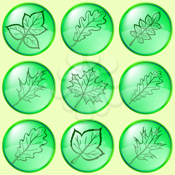 Leaves buttons, green, set: dogrose, oak, raspberry, oak iberian, maple, eps10, contains transparencies. Vector