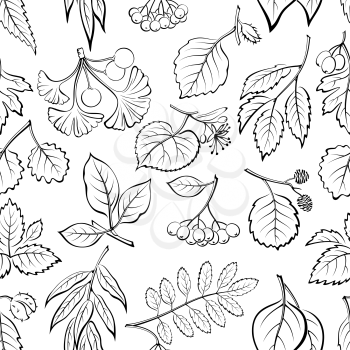 Seamless Nature Background with Pictogram Tree Leaves, Willow, Hawthorn, Poplar, Aspen, Ginkgo Biloba, Elm, Alder, Linden, Rowan, Chestnut, Black Chokeberry and Beech. Black on White. Vector