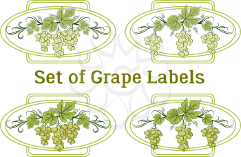 Set of Labels, Stickers with Green Grape Bunches, Berries and Leaves, on Ellipse and Square Frames. Vector