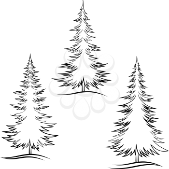 Set of Christmas Trees, Fir Tree Black Contour Winter Symbols, Isolated on White. Vector