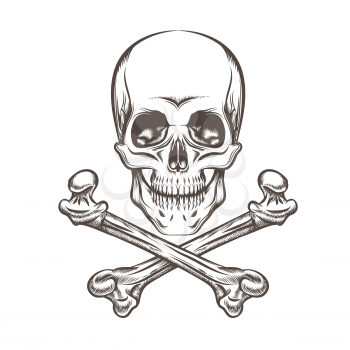 Engraving illustration of skull and crossbones. Isolated on white background.