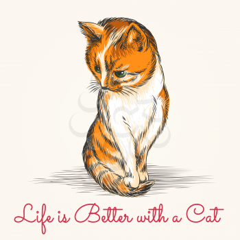 Red kitten in sketch style with wording life is better with a cat. Free font used.